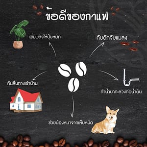 Read more about the article ข้อดีของกาแฟ EP.2