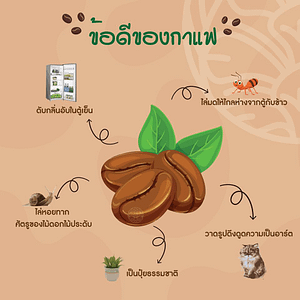 Read more about the article ข้อดีของกาแฟ EP.1
