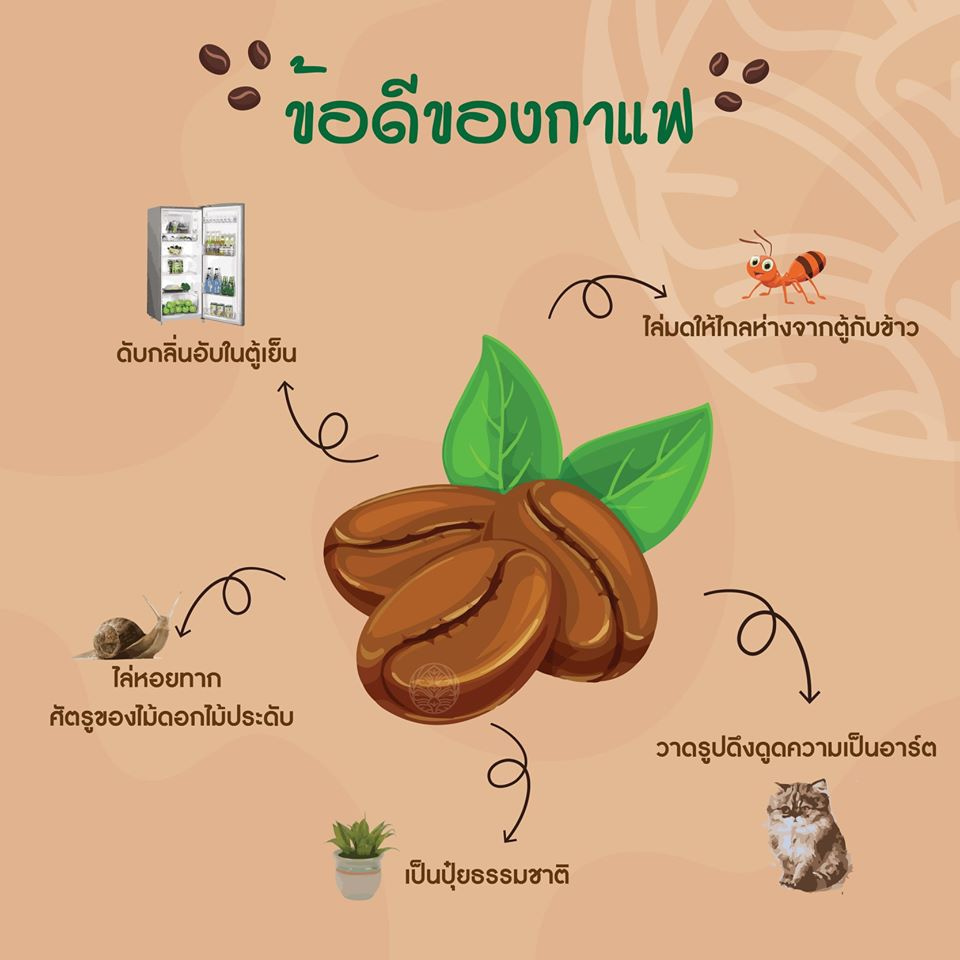 You are currently viewing ข้อดีของกาแฟ EP.1